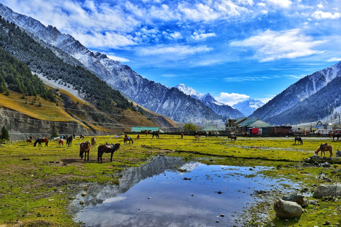 Kashmir: A Complete Tour Guide