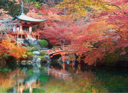 Kiyomizu-dera temple in Kyoto during cherry blossom season – Kyoto Travel Guide 2025